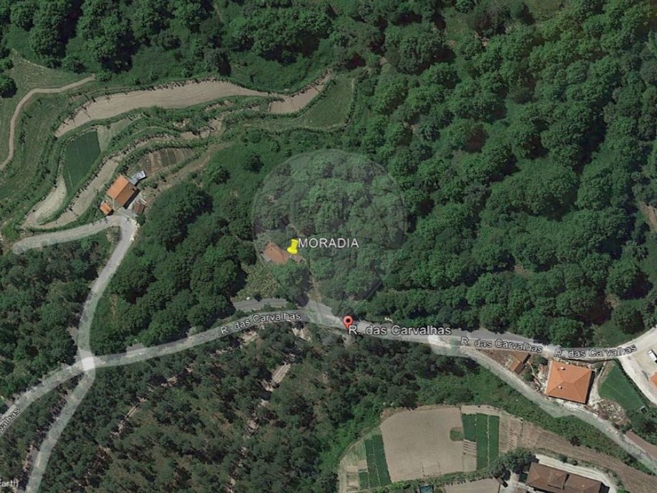 Villa i Celorico de Basto, Braga - bilde 1