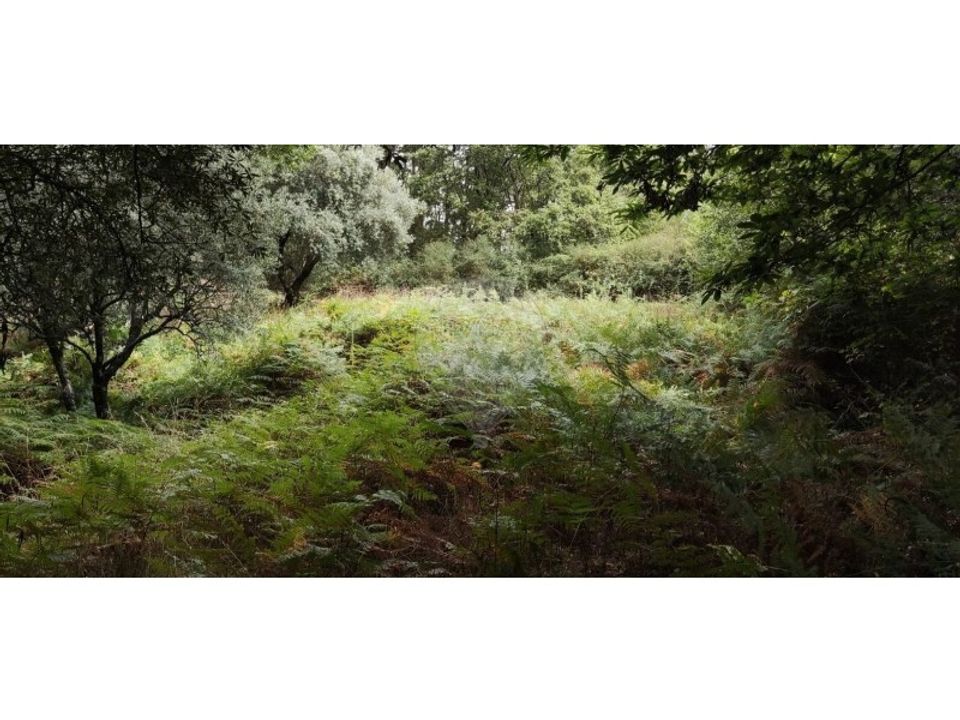 Helårsgrund i Serdedelo, Viana do Castelo - foto 2