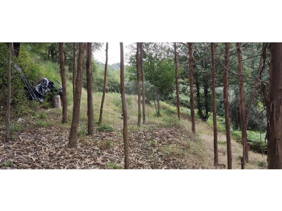 Helårsgrund i Serdedelo, Viana do Castelo - foto 3