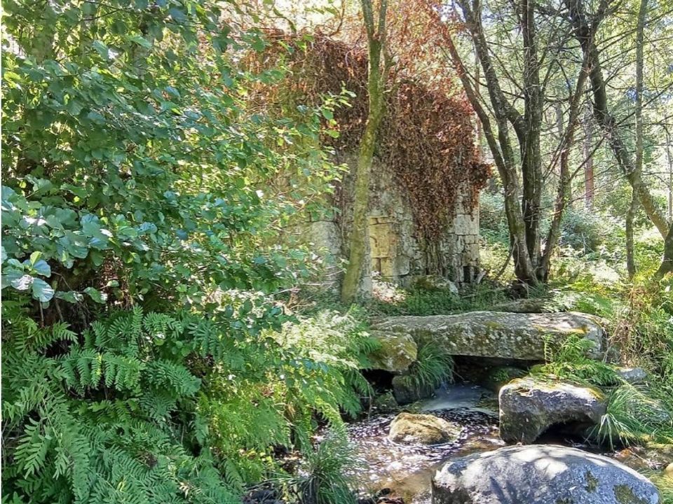 Farm i Souto (Santa Maria), Braga - foto 1