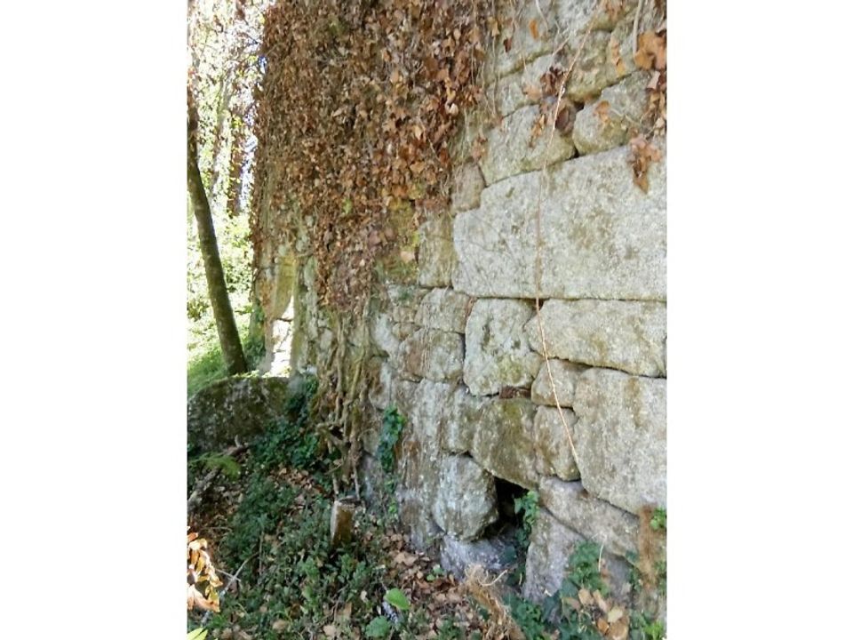 Farm i Souto (Santa Maria), Braga - foto 3