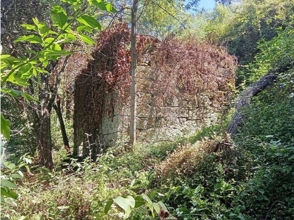 Farm i Souto (Santa Maria), Braga - foto 4