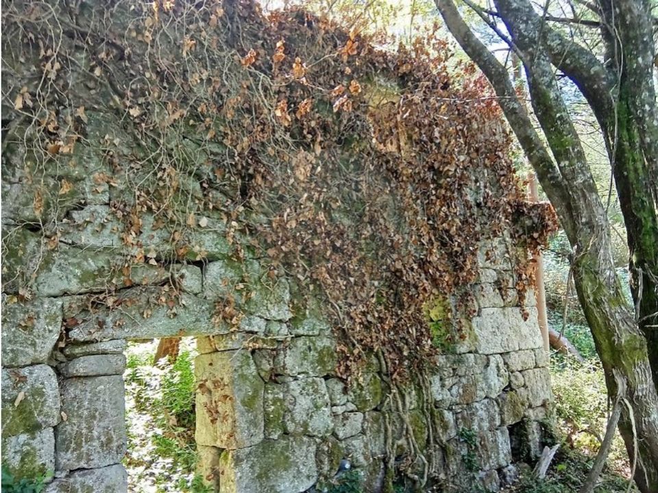 Farm i Souto (Santa Maria), Braga - foto 5