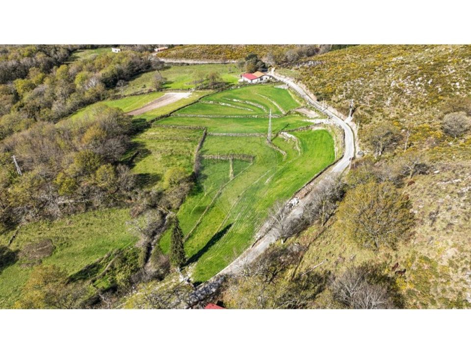 Land in Chorense e Monte, Braga - photo 4