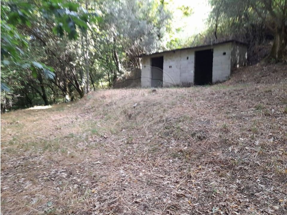 Helårsgrund i Caldelas, Braga - foto 4