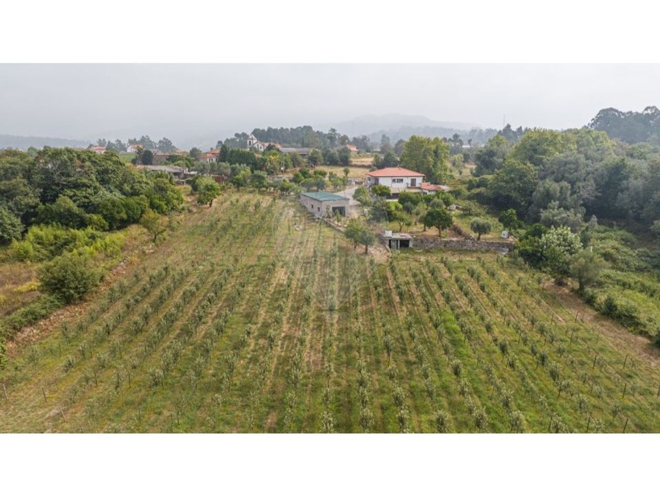 Villa i Amares, Braga - foto 5