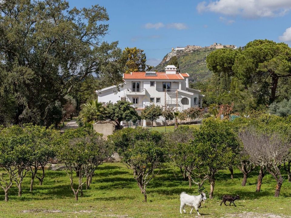 Villa i Palmela, Setubal - foto 1