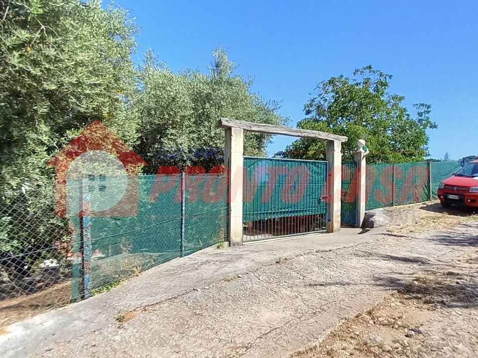 Erhvervsejendom i Vico del Gargano, Foggia - foto 3