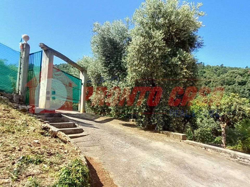 Erhvervsejendom i Vico del Gargano, Foggia - foto 4