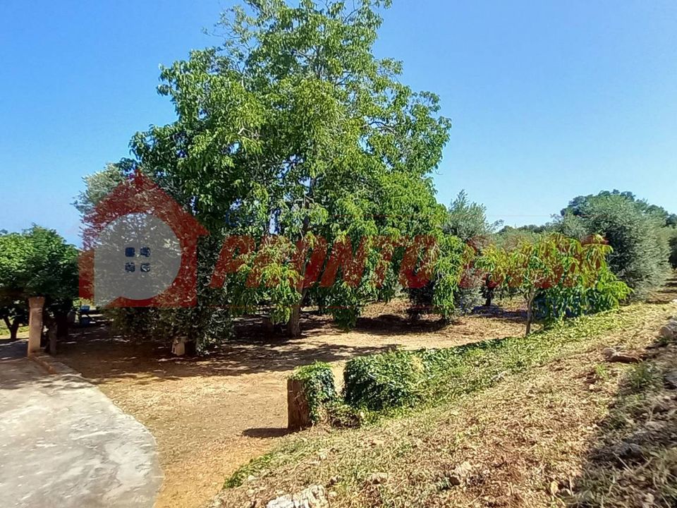 Erhvervsejendom i Vico del Gargano, Foggia - foto 5