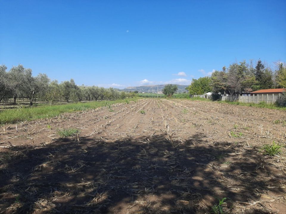 Tomt i Eboli, Salerno - bilde 5