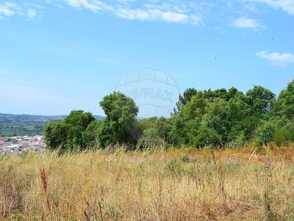 Helårsgrund i Bombarral, Leiria - foto 1