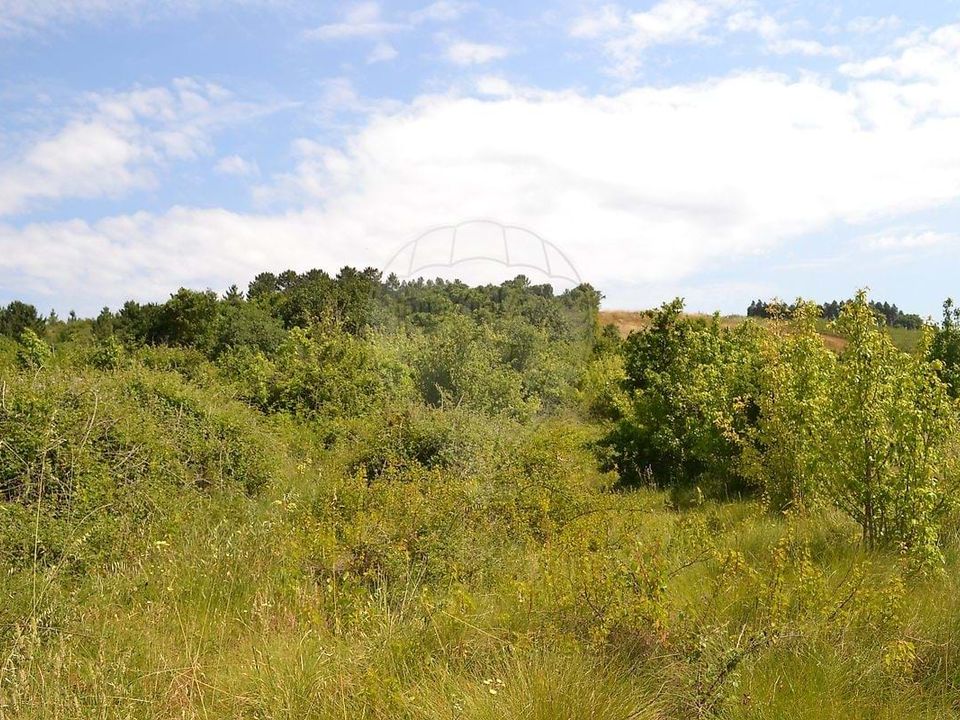 Helårsgrund i Bombarral, Leiria - foto 3
