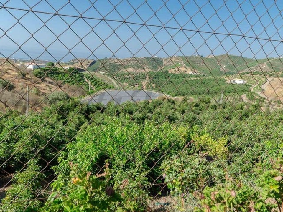 Finca i Almayate Alto, Malaga - foto 5