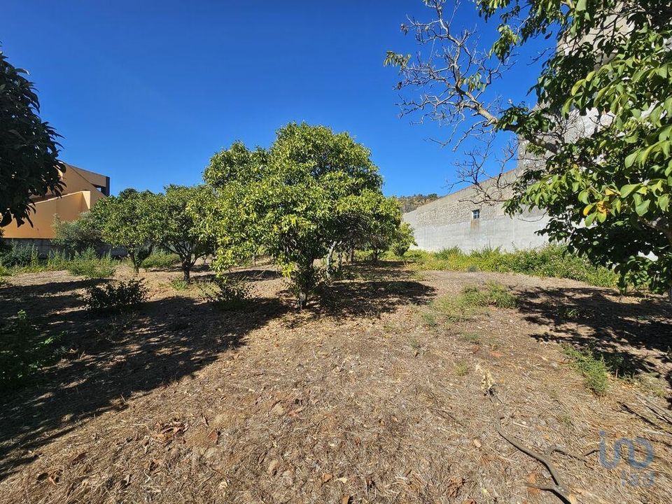 Helårsgrund i Palmela, Setubal - foto 3