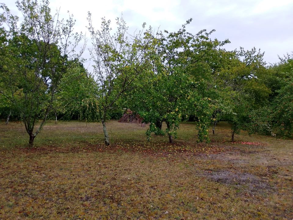 Villa i Barbezieux-Saint-Hilaire, Charente - foto 3