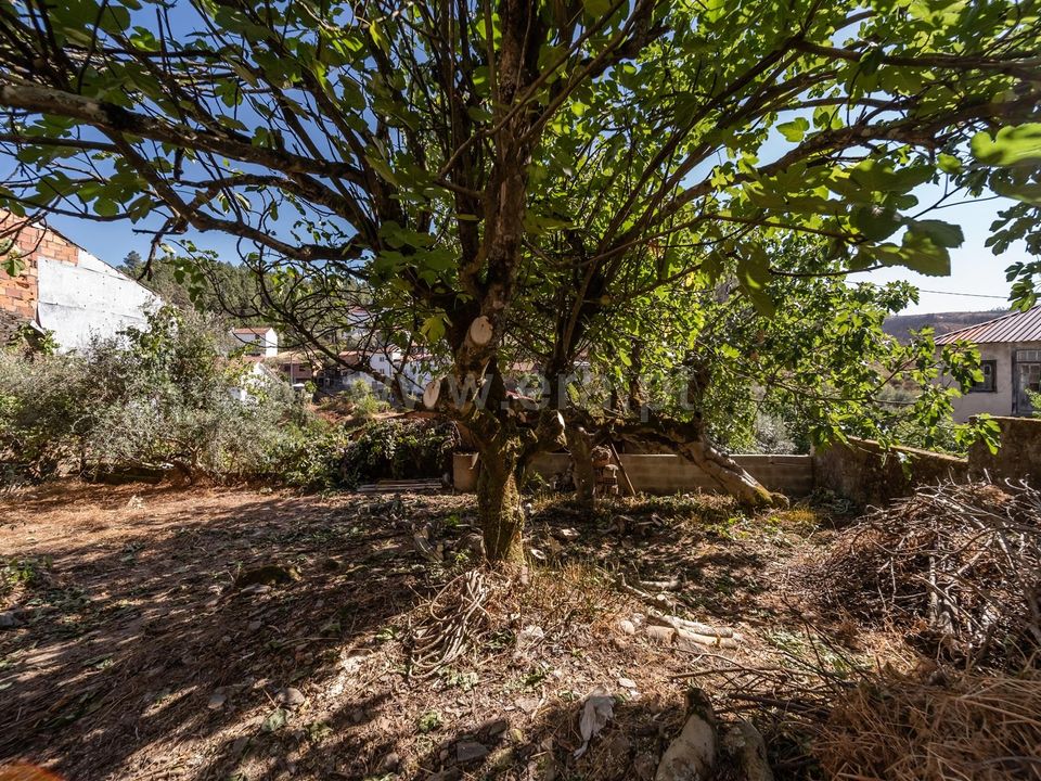 Landsbyhus i Fundao, Castelo Branco - bilde 4