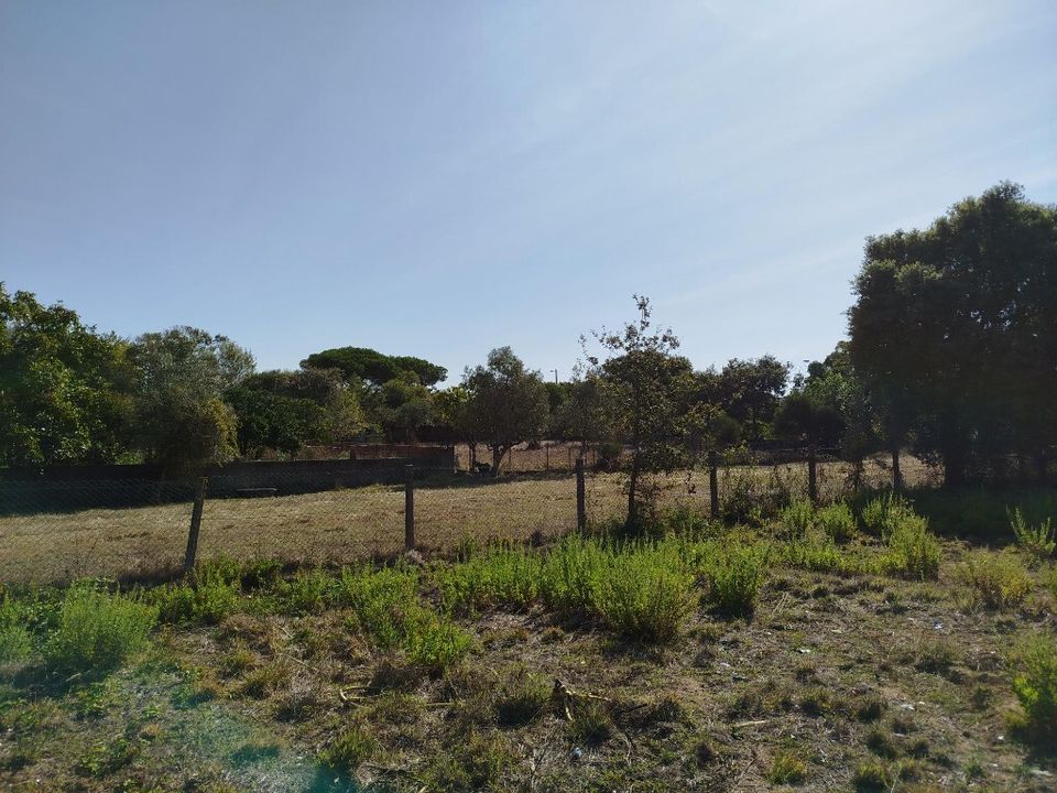 Helårsgrund i Sintra, Lisbon - foto 3