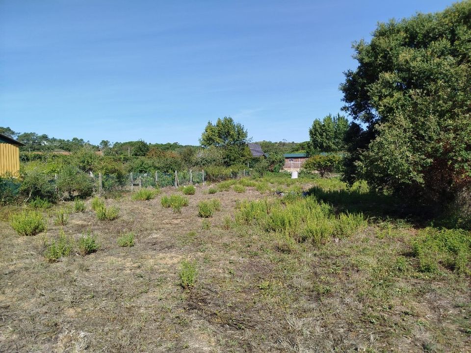 Helårsgrund i Sintra, Lisbon - foto 4
