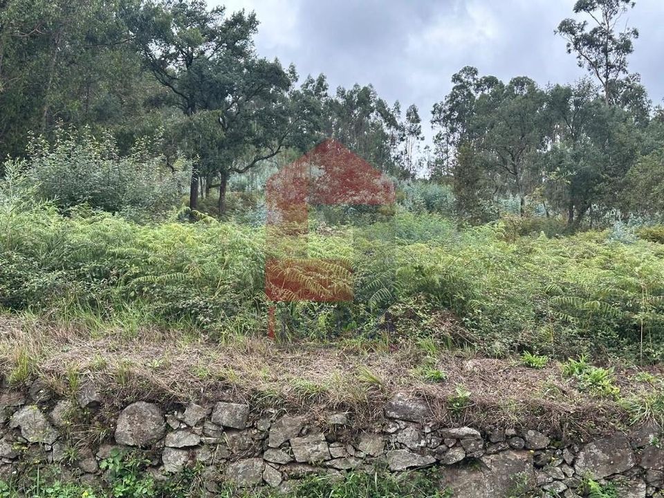 Helårsgrund i Vila Verde, Braga - foto 4