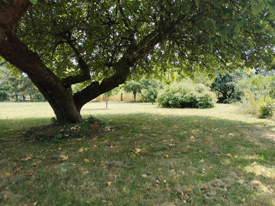 Tomt i Villebéon, Seine-et-Marne - bilde 2