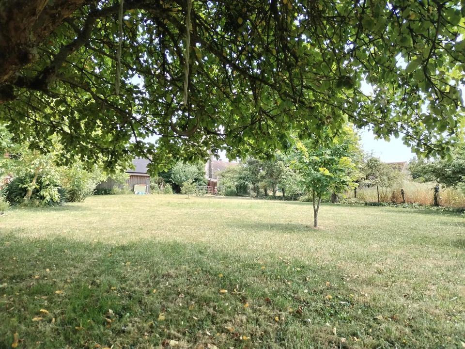 Tomt i Villebéon, Seine-et-Marne - bilde 3