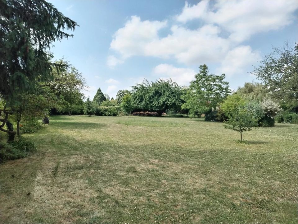 Tomt i Villebéon, Seine-et-Marne - bilde 4