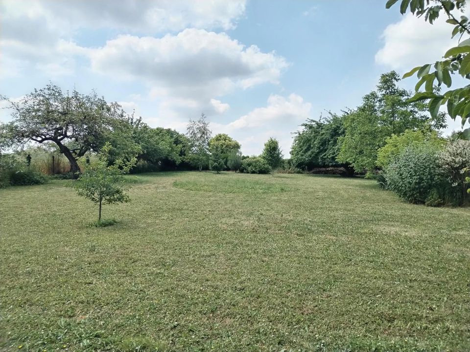 Tomt i Villebéon, Seine-et-Marne - bilde 5