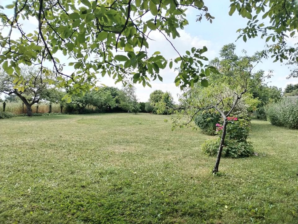 Terra em Villebéon, Seine-et-Marne - foto 2