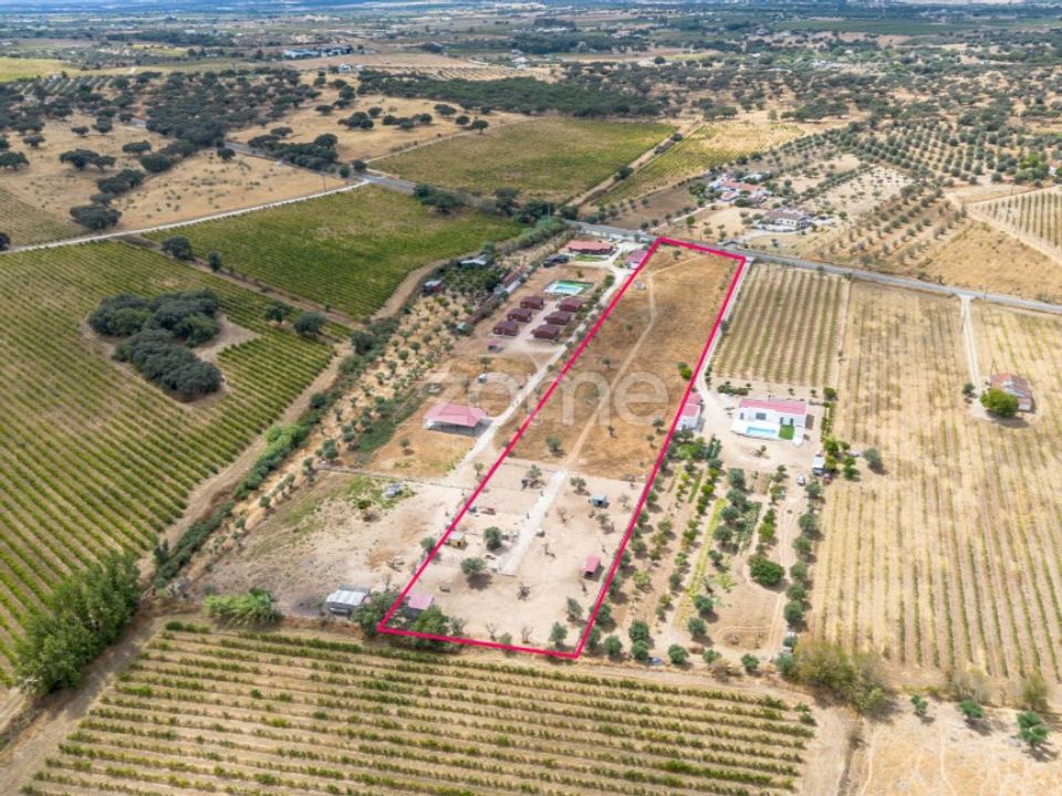 Terra a Redondo, Evora - foto 1