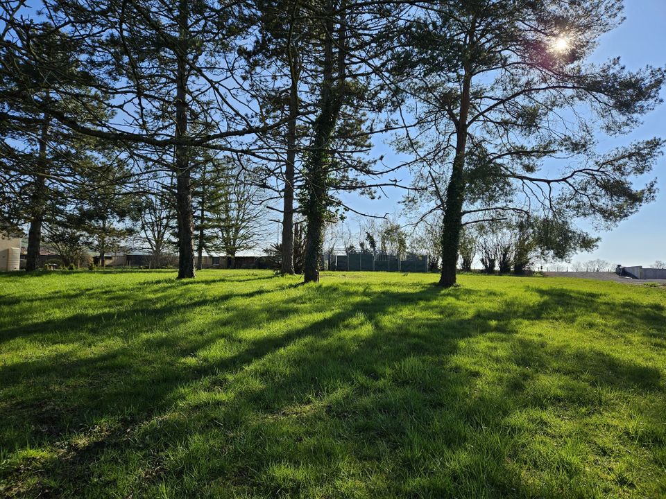 Helårsgrund i Cheilly-lès-Maranges, Saone-et-Loire - foto 1