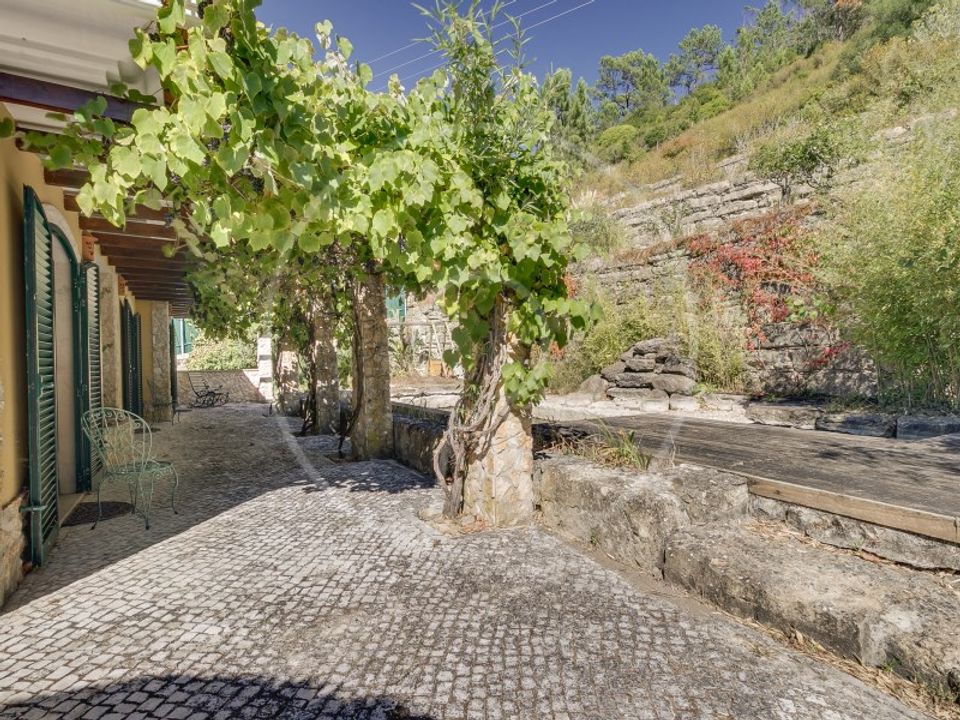Villa i Sobral de Monte Agraco, Lisbon - bilde 4