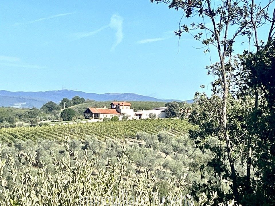 Granja en Montecchio, Terni - foto 1