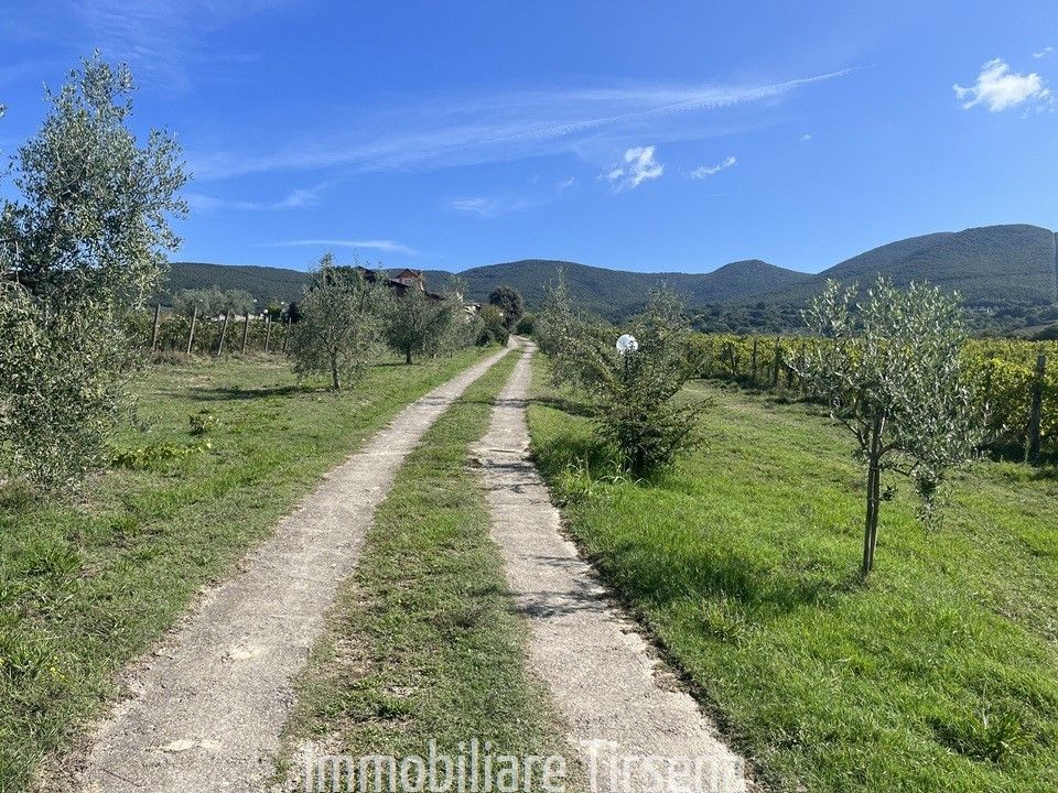Granja en Montecchio, Terni - foto 2