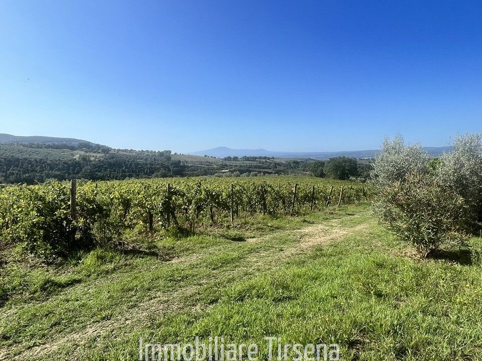 Granja en Montecchio, Terni - foto 4
