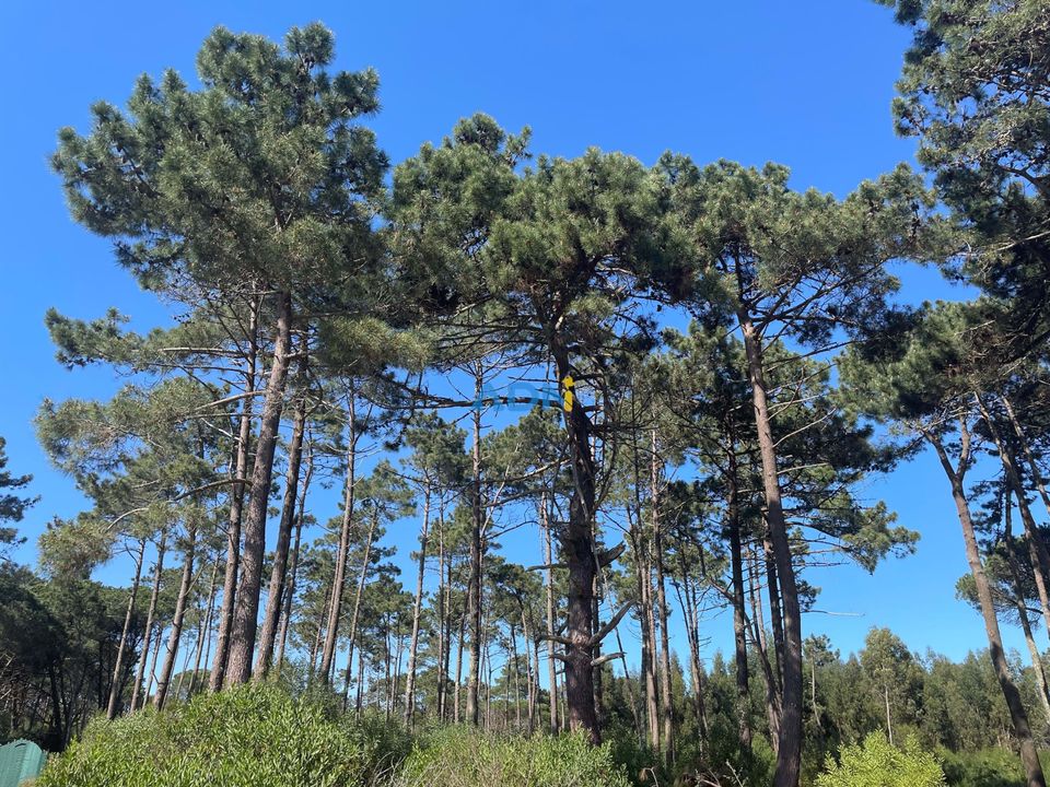 Helårsgrund i Almocageme, Lisbon - foto 3