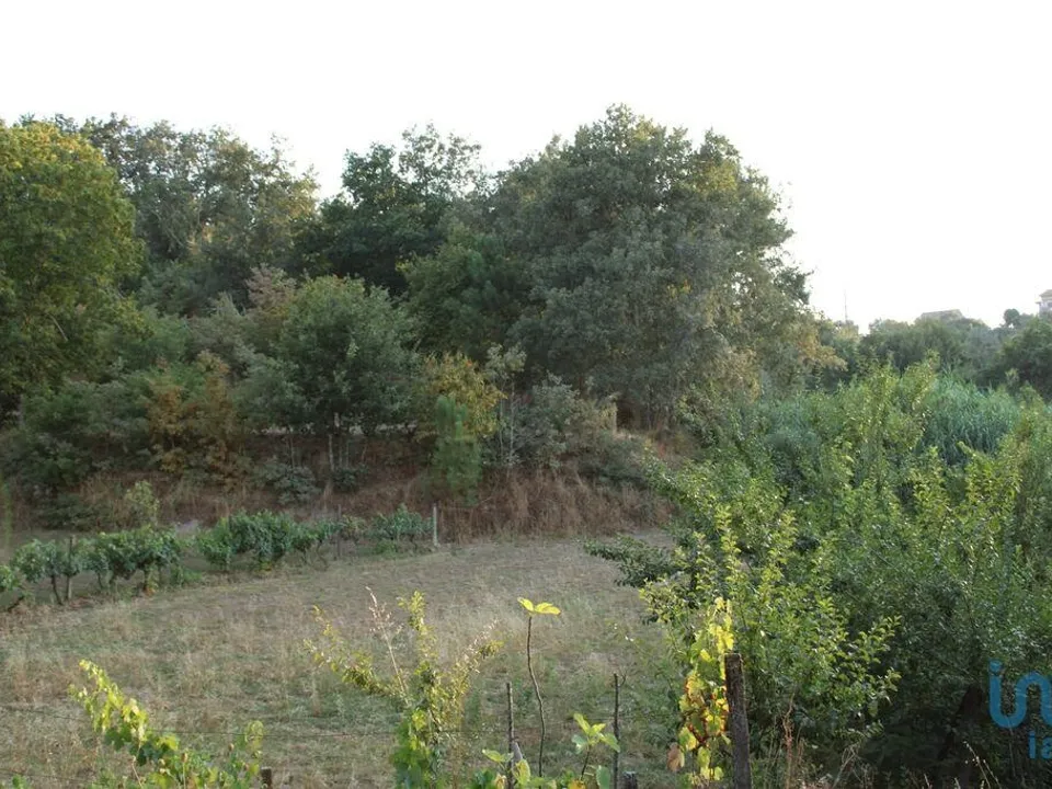 Helårsgrund i Oliveira do Hospital, Coimbra - foto 2