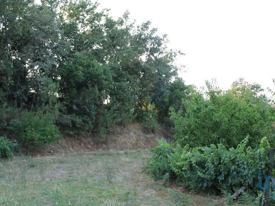 Helårsgrund i Oliveira do Hospital, Coimbra - foto 4