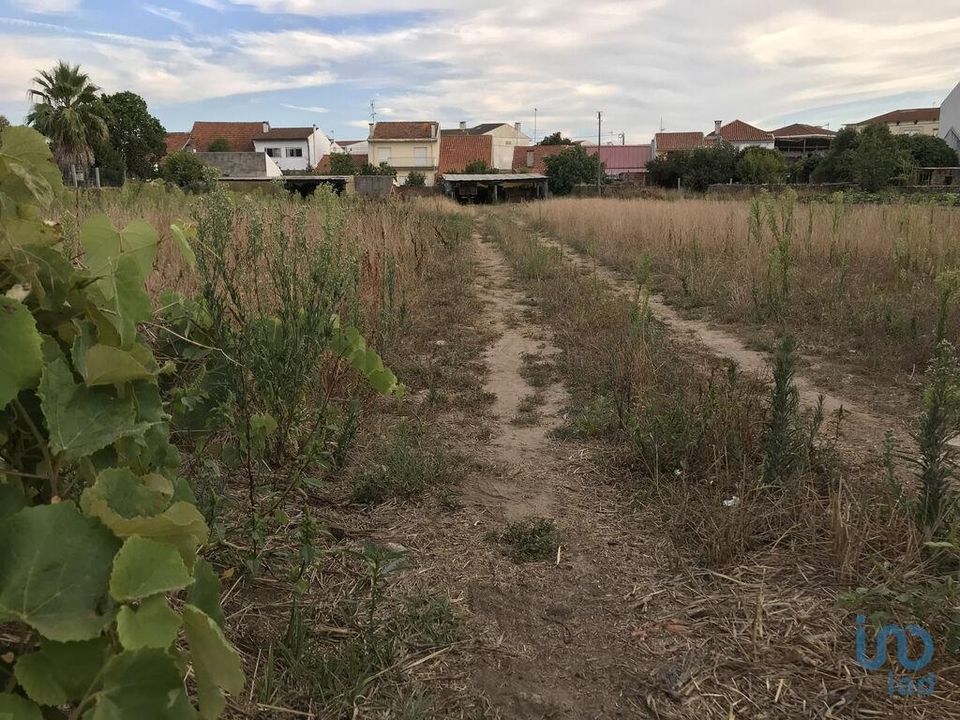 Helårsgrund i Ovar, Aveiro - foto 4