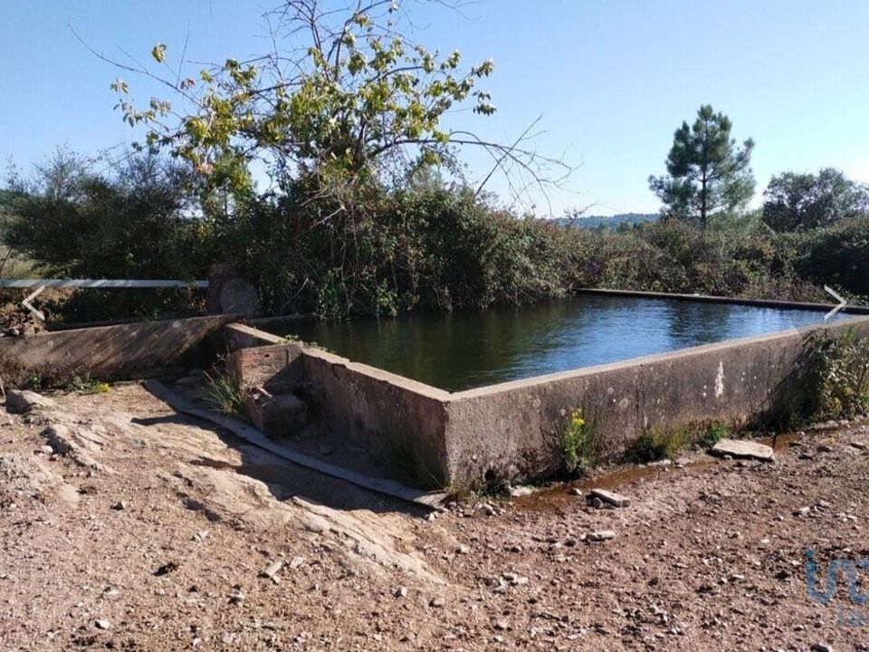 Rekkehus i Castelo de Vide, Portalegre - bilde 5