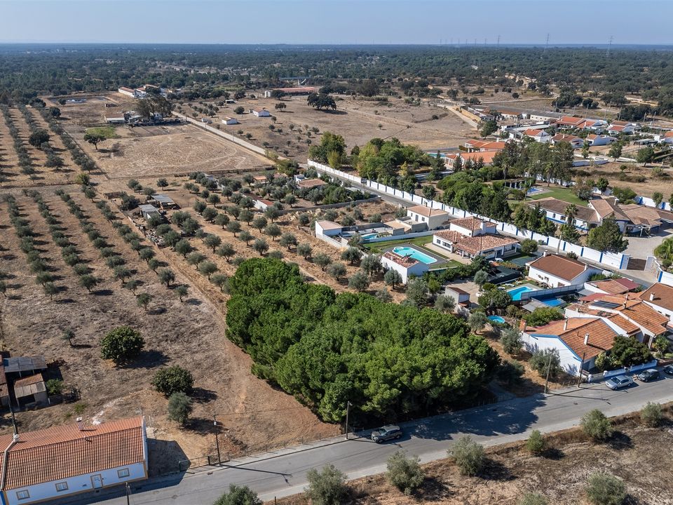 Tomt i Santiago do Cacem, Setubal - bilde 5