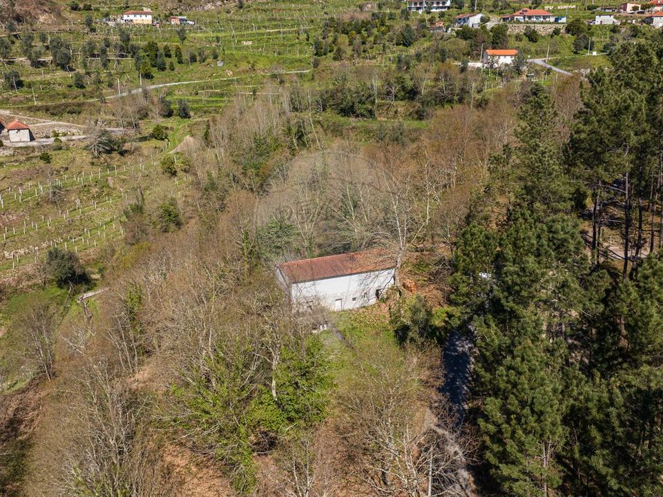 Villa i Celorico de Basto, Braga - foto 1