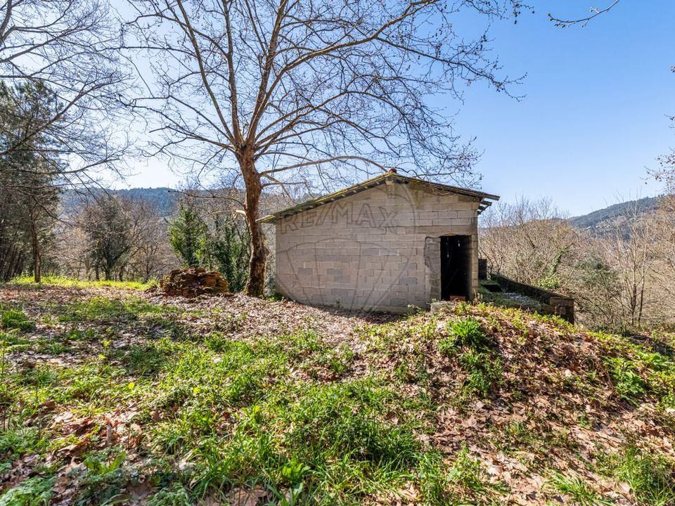Villa i Celorico de Basto, Braga - foto 5