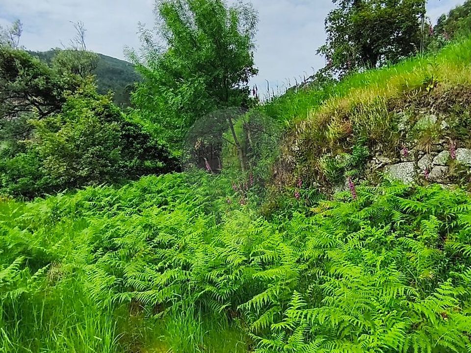Villa i Vila Verde, Braga - foto 5