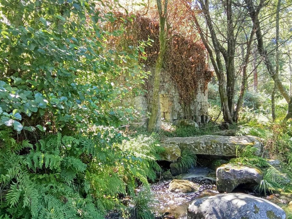 Gård i Terras de Bouro, Braga - bilde 1