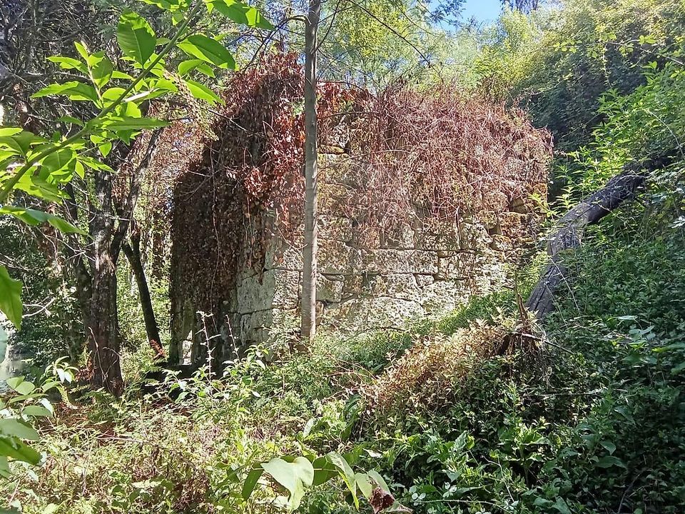 Gård i Terras de Bouro, Braga - bilde 4