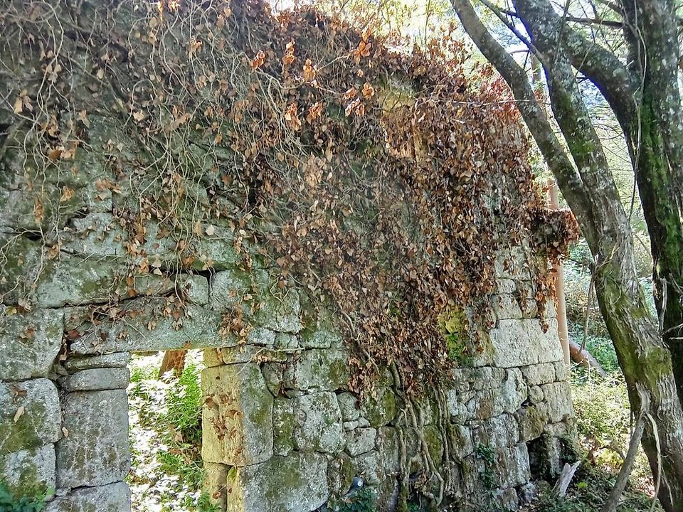 Gård i Terras de Bouro, Braga - bilde 5