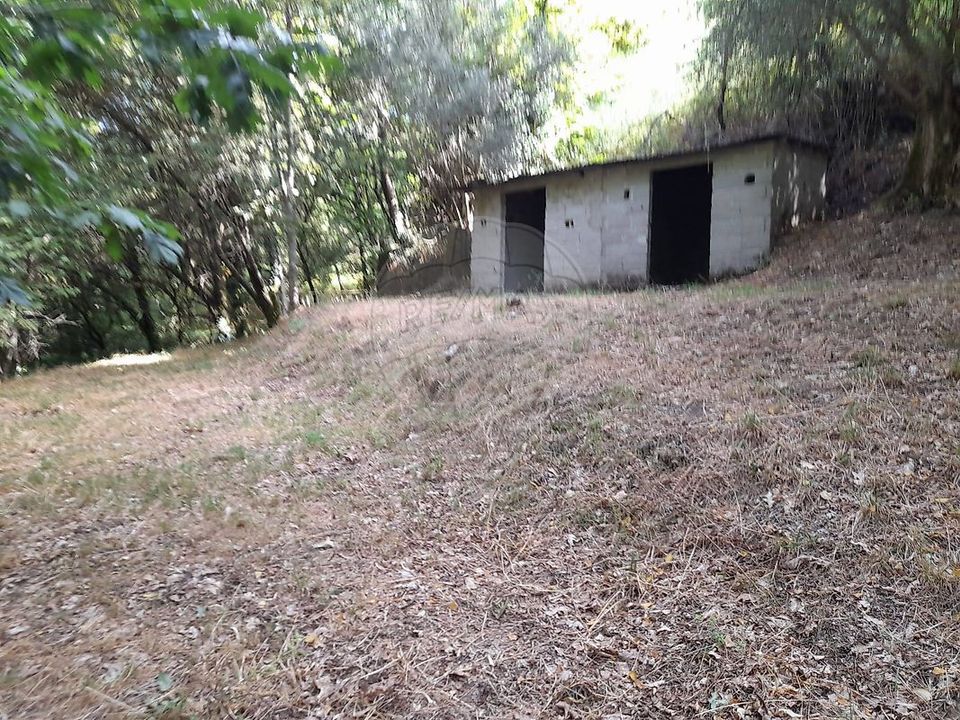 Helårsgrund i Amares, Braga - foto 4