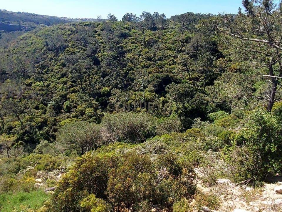 Helårsgrund i Mafra, Lisbon - foto 5