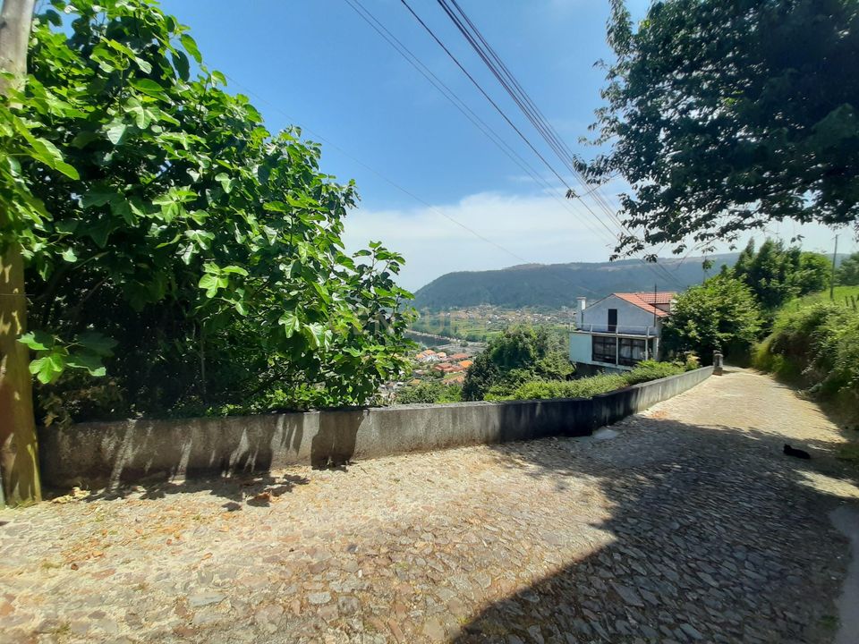 Helårsgrund i Penacova, Coimbra - foto 5